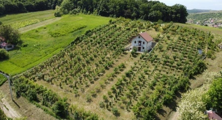 Casă cu 4 camere în Grebenișu de Câmpie