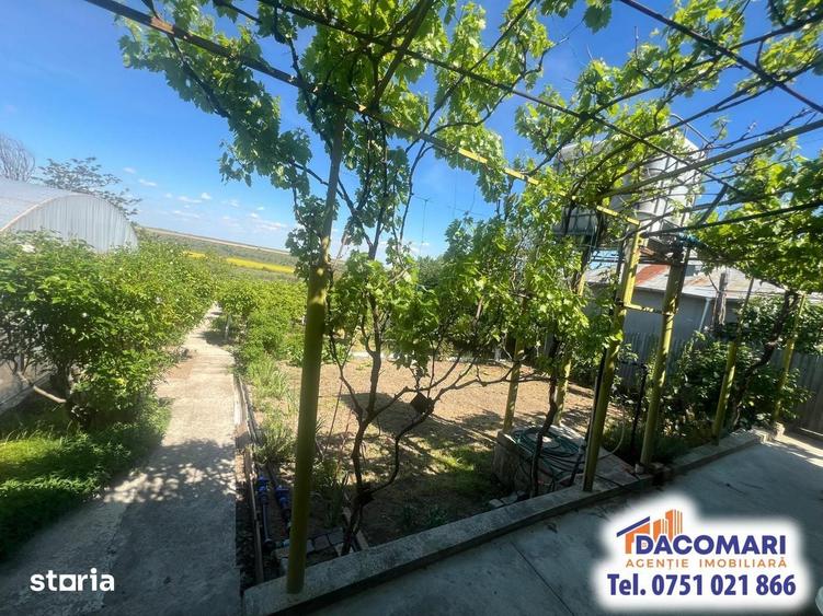 Casă cu 2 camere cu Teren 1498 Mp în Smârdan