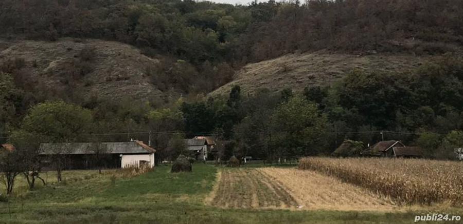 Teren de 6700 mp, în Buceava-Șoimuș