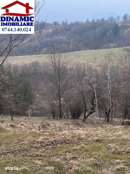 Teren de 6000 mp, în Alexandru cel Bun