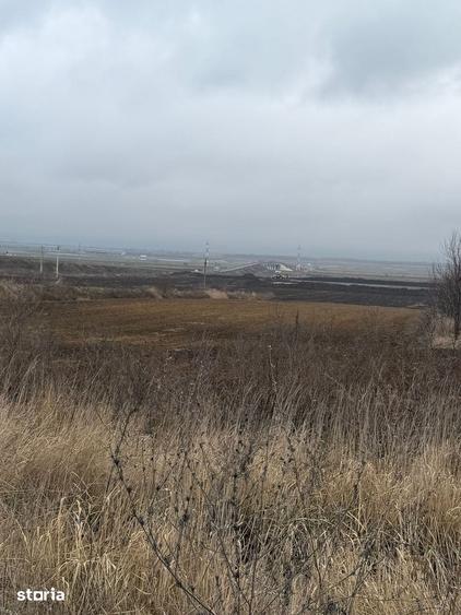 Teren de 12500 mp, în Nicolae Bălcescu
