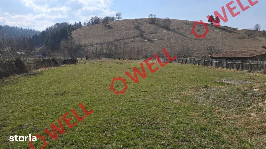 Teren de 4800 mp, în Sita Buzăului