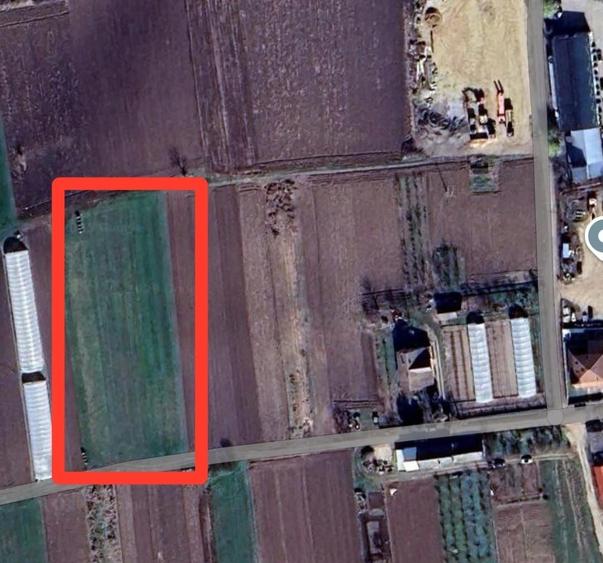 Teren intravilan de 3241 mp, în Borș