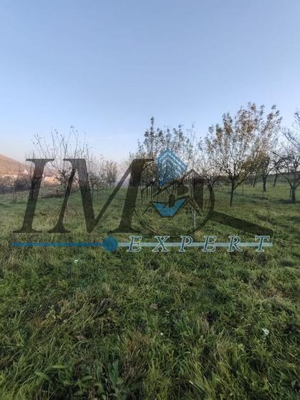 Teren Construcții intravilan de 1785 mp, în Pâclișa