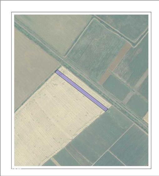 Teren de 10000 mp, în Tărtășești