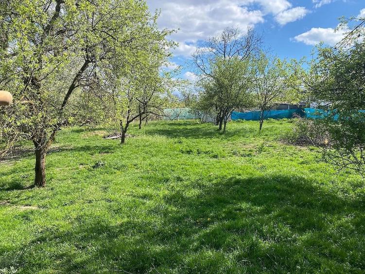 Casă cu 3 camere cu Teren 2125 Mp în Vechea