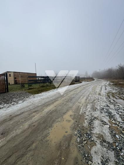 Teren Construcții intravilan de 900 mp, în Avrig