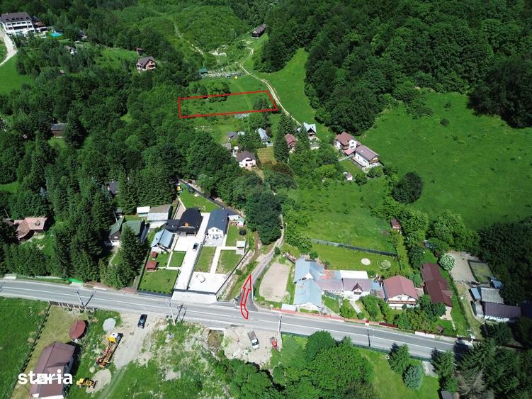 Teren de 1500 mp, în Tulnici