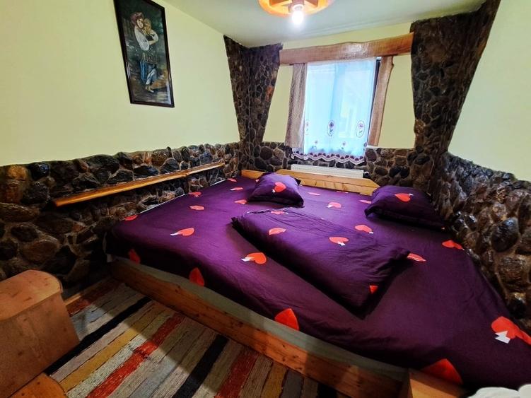 Casă individuală cu 10 camere cu Teren 1500 Mp în Valea Ierii