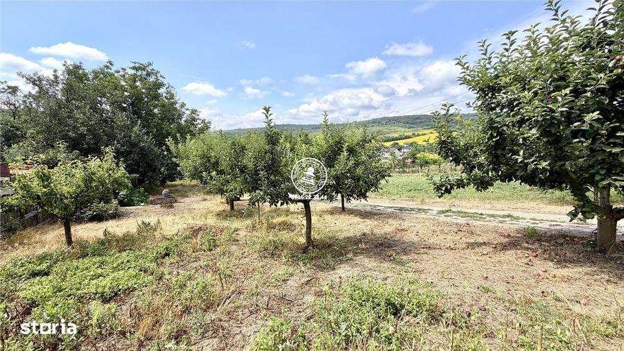 Casă cu 4 camere în Aroneanu