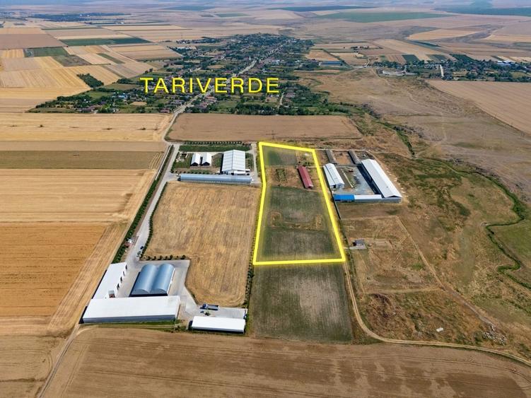 Teren agricol intravilan de 29560 mp, în Tariverde