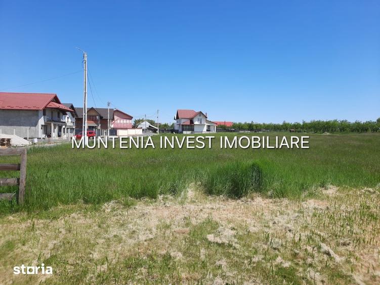 Teren de 630 mp, în Albota