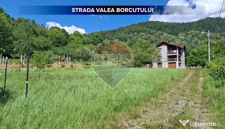 Casă cu 3 camere cu Teren 1594 Mp în Valea Borcutului