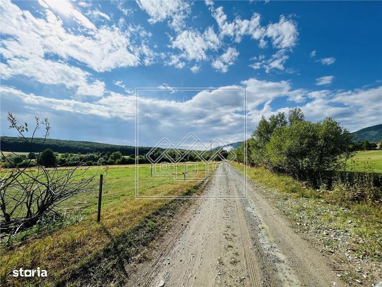 Teren intravilan, 5861 mp - Tocile - 3