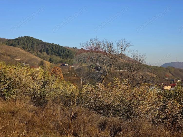 Teren de 6874 mp, în Alexandru cel Bun