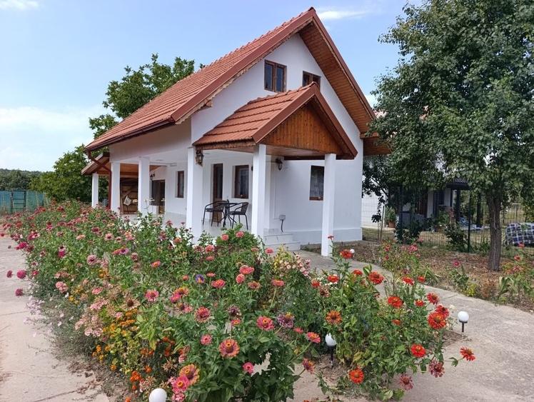 Casă cu 3 camere în Bălești