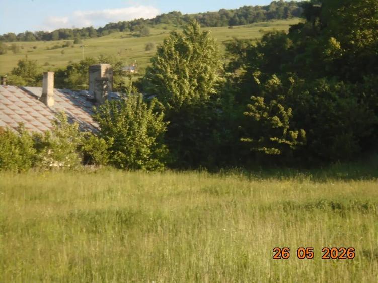 Teren de 1100 mp, în Udești