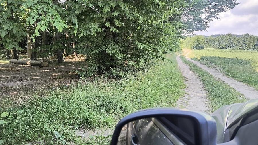 Teren de 2600 mp, în Măriței