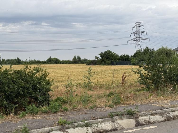 Teren Construcții intravilan de 2500 mp, în Jilava
