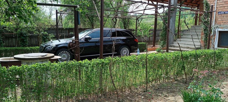 Casă cu 4 camere în Târgu Logrești