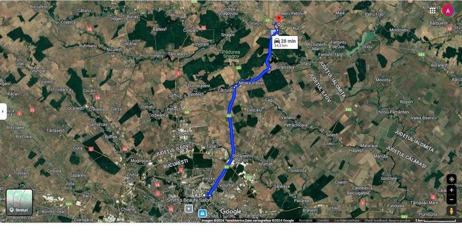 Teren agricol extravilan de 5300 mp, în Gruiu