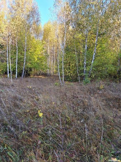 Teren de 2000 mp, în Băile Chirui
