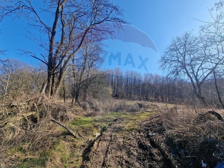 Teren Construcții intravilan de 4985 mp, în Sascut
