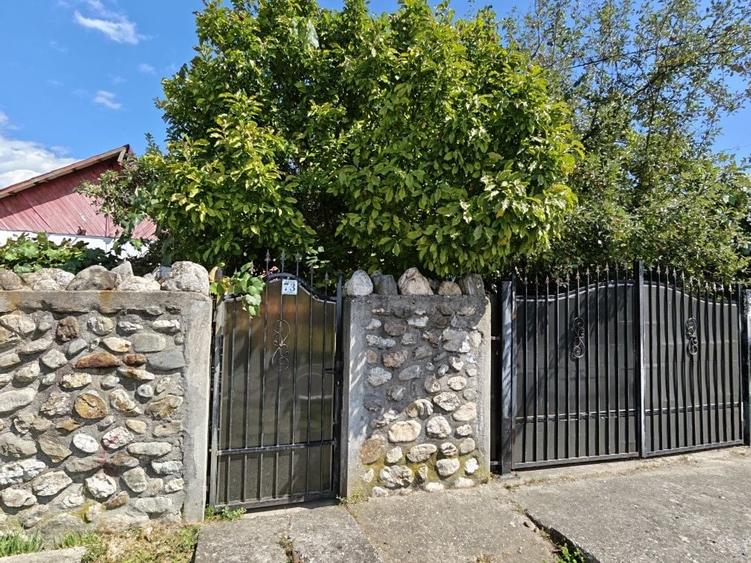 Casă cu 3 camere în Central