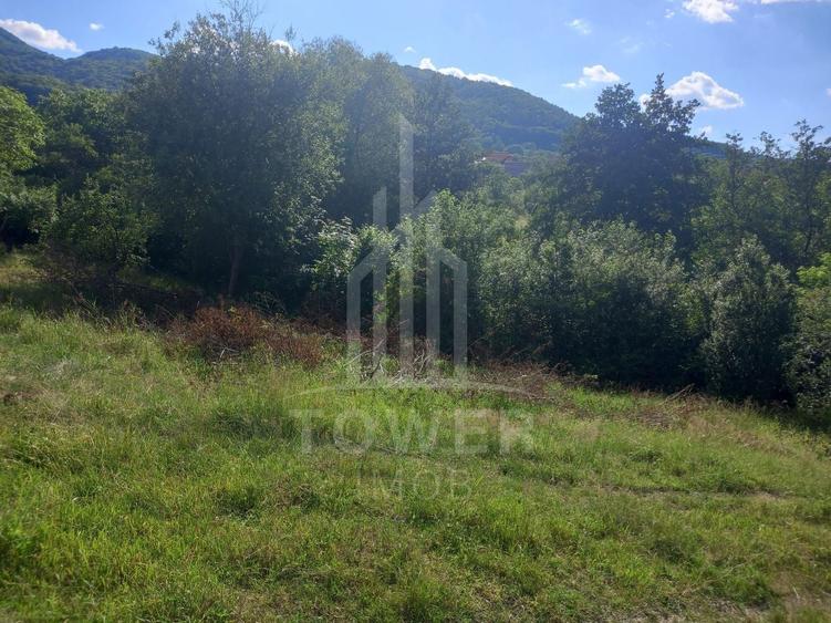 Teren Construcții intravilan de 3673 mp, în Fântânele