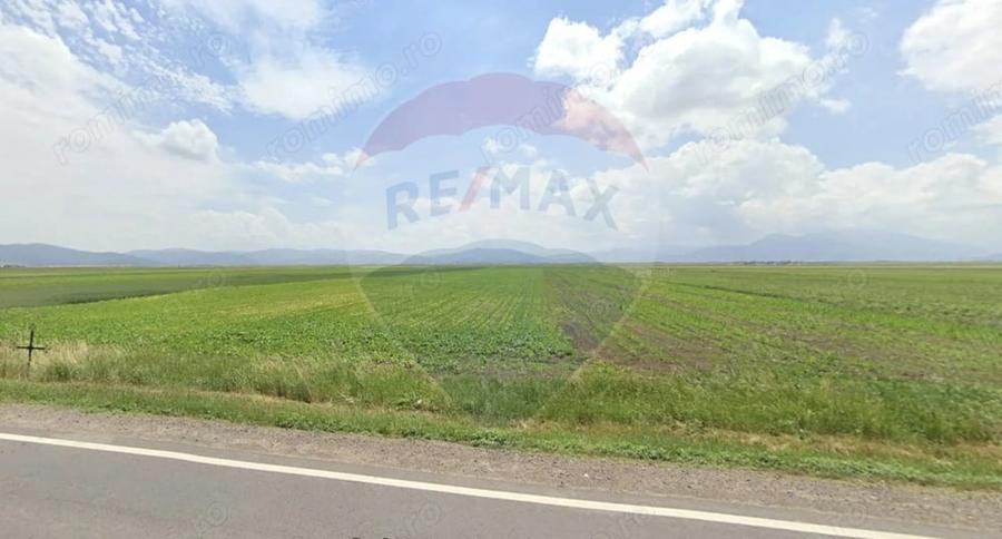 Teren de 6000 mp, în Prejmer