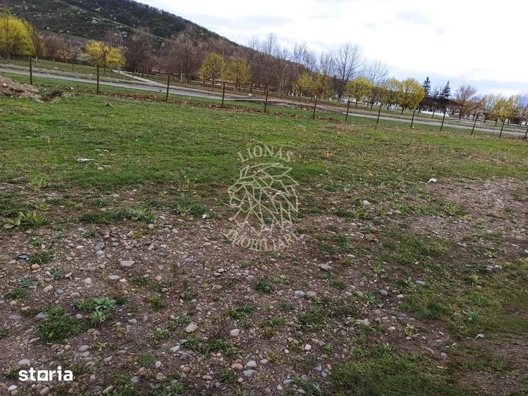 Teren de 1000 mp, în Viișoara