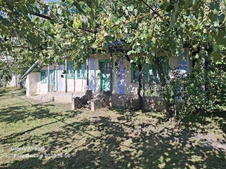 Teren de 7900 mp, în Români