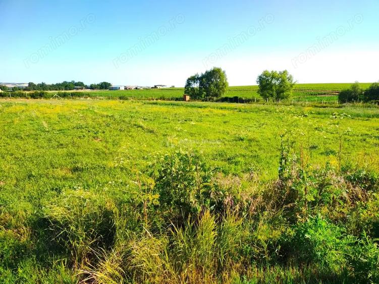 Teren de 18247 mp, în Mișca