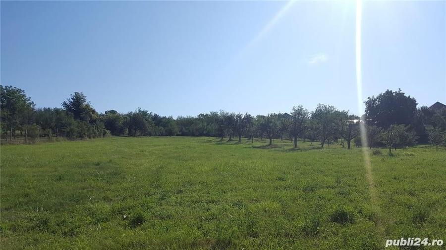 Teren de 6044 mp, în Boldești