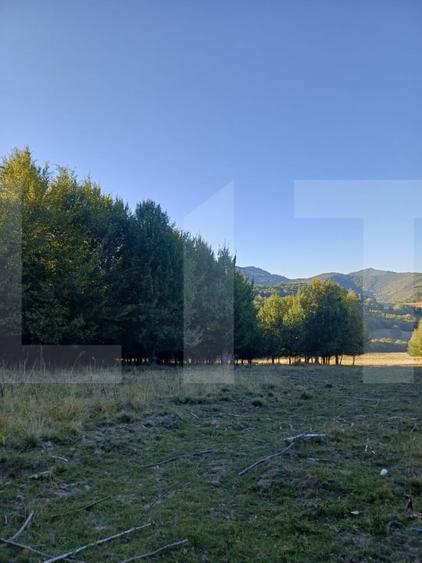 Teren extravilan de 11600 mp, în Turia