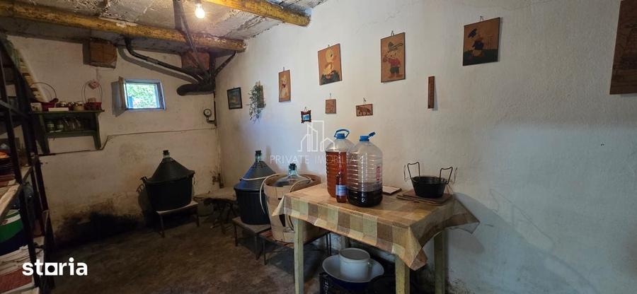 Casă cu 3 camere cu Teren 1400 Mp în Albești