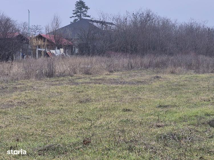 Teren de 1300 mp, în Balotești