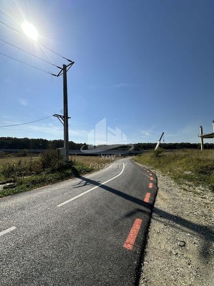 Teren Construcții intravilan de 8828 mp, în Șelimbăr