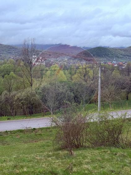 Teren de 4780 mp, în Vad