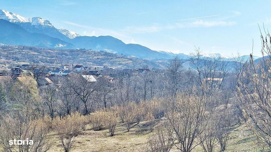 Spațiu comercial, în Tohanu Nou
