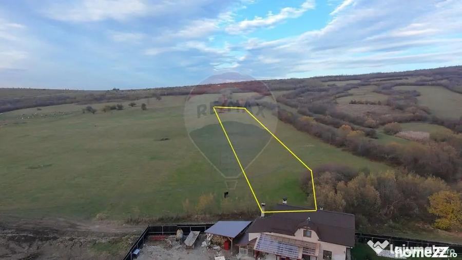 Teren de 5800 mp, în Purcăreni