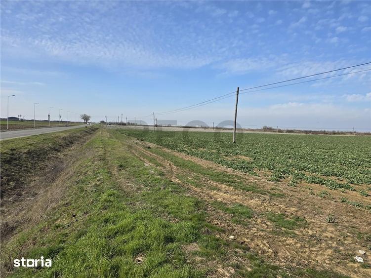 Teren de 5754 mp, în Nojorid