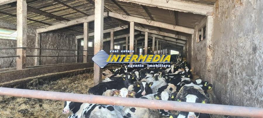 Casă individuală cu 20 camere cu Teren 35000 Mp în Pianu