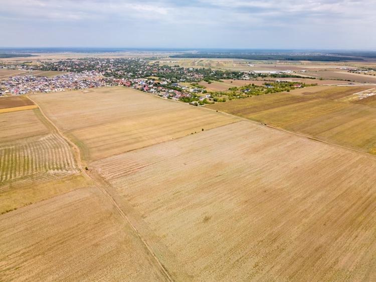 Teren Construcții intravilan de 7500 mp, în Dascălu