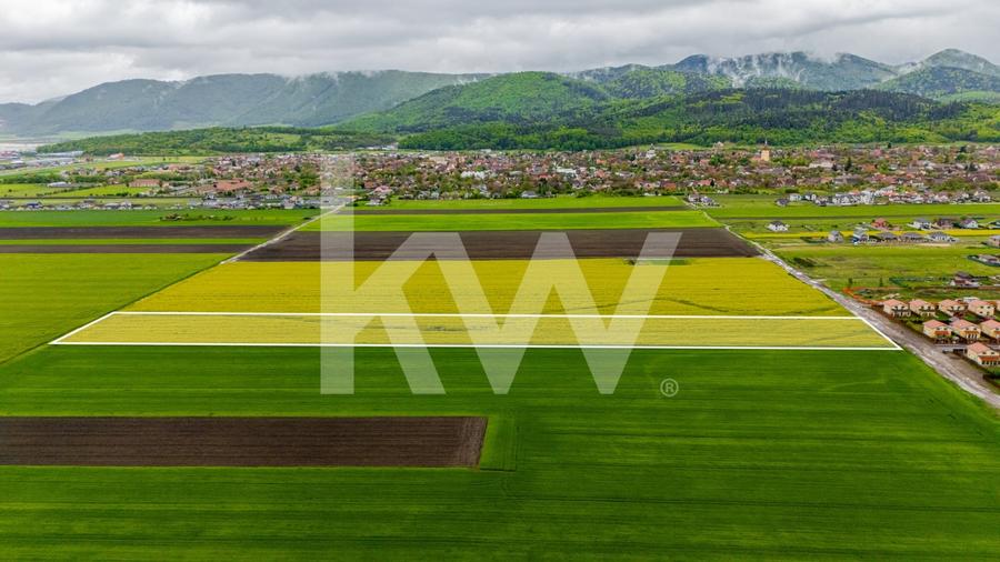 Teren agricol extravilan de 13742 mp, în Cristian