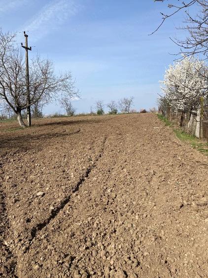 Casă cu 3 camere cu Teren 2200 Mp în Săuca