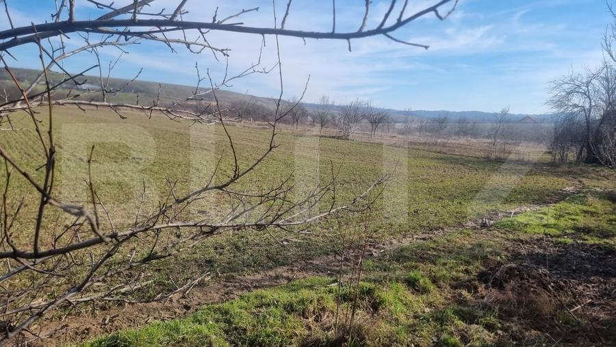 Teren agricol extravilan de 5808 mp, în Lipănești