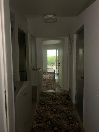 Creata Vanzare Teren 5900mp  cu iesire la balta, casa parter - 10