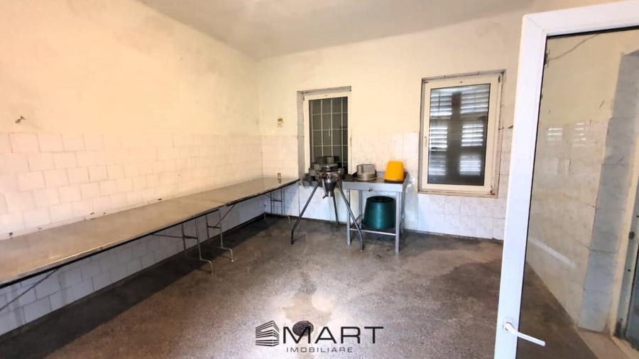 Spațiu comercial, de 250 mp, în Șmig