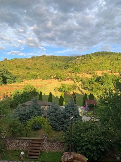 Casă cu Teren 6650 Mp în Cuvin